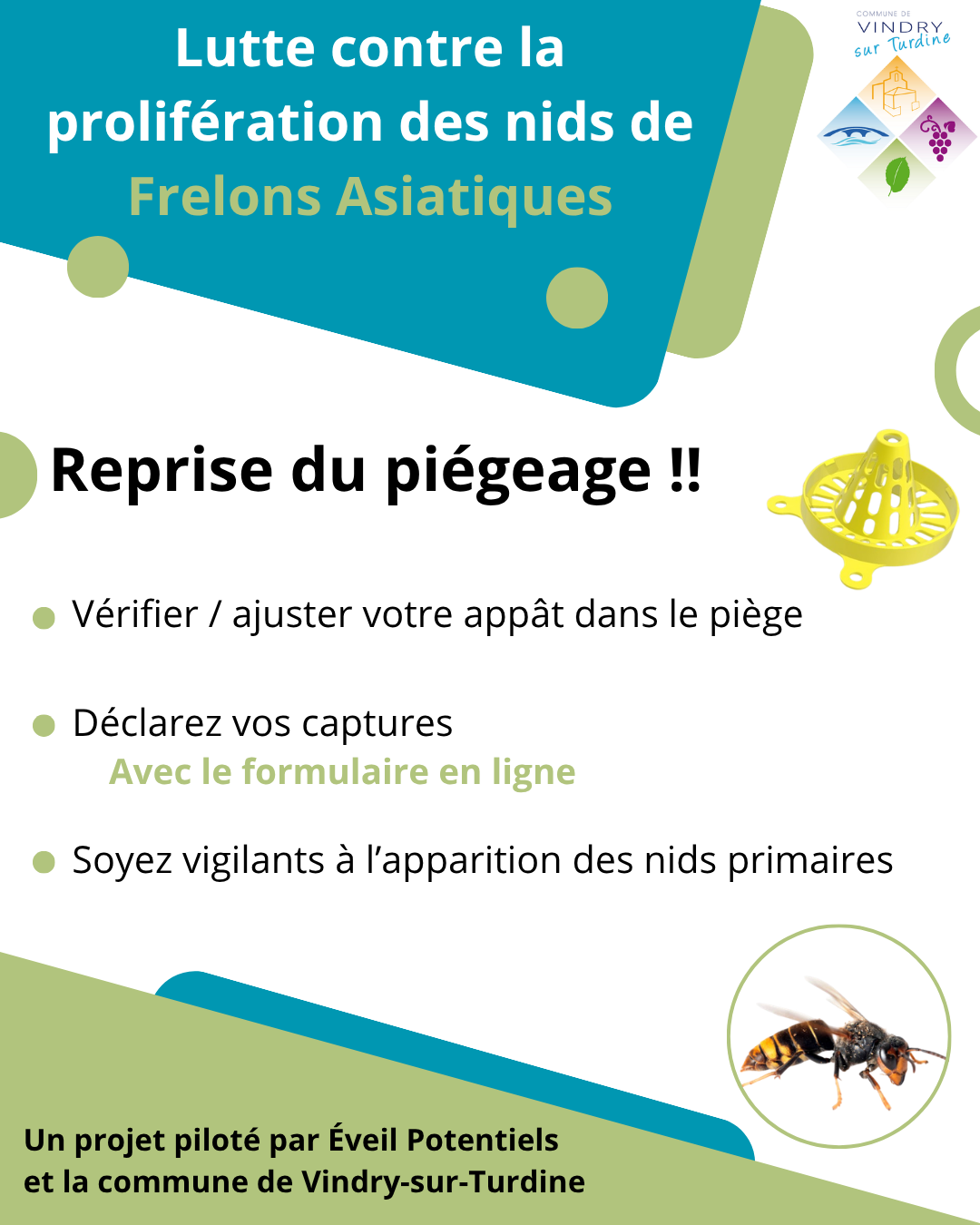 Lutte contre la prolifération des nids de Frelons Asiatiques – Vindry ...